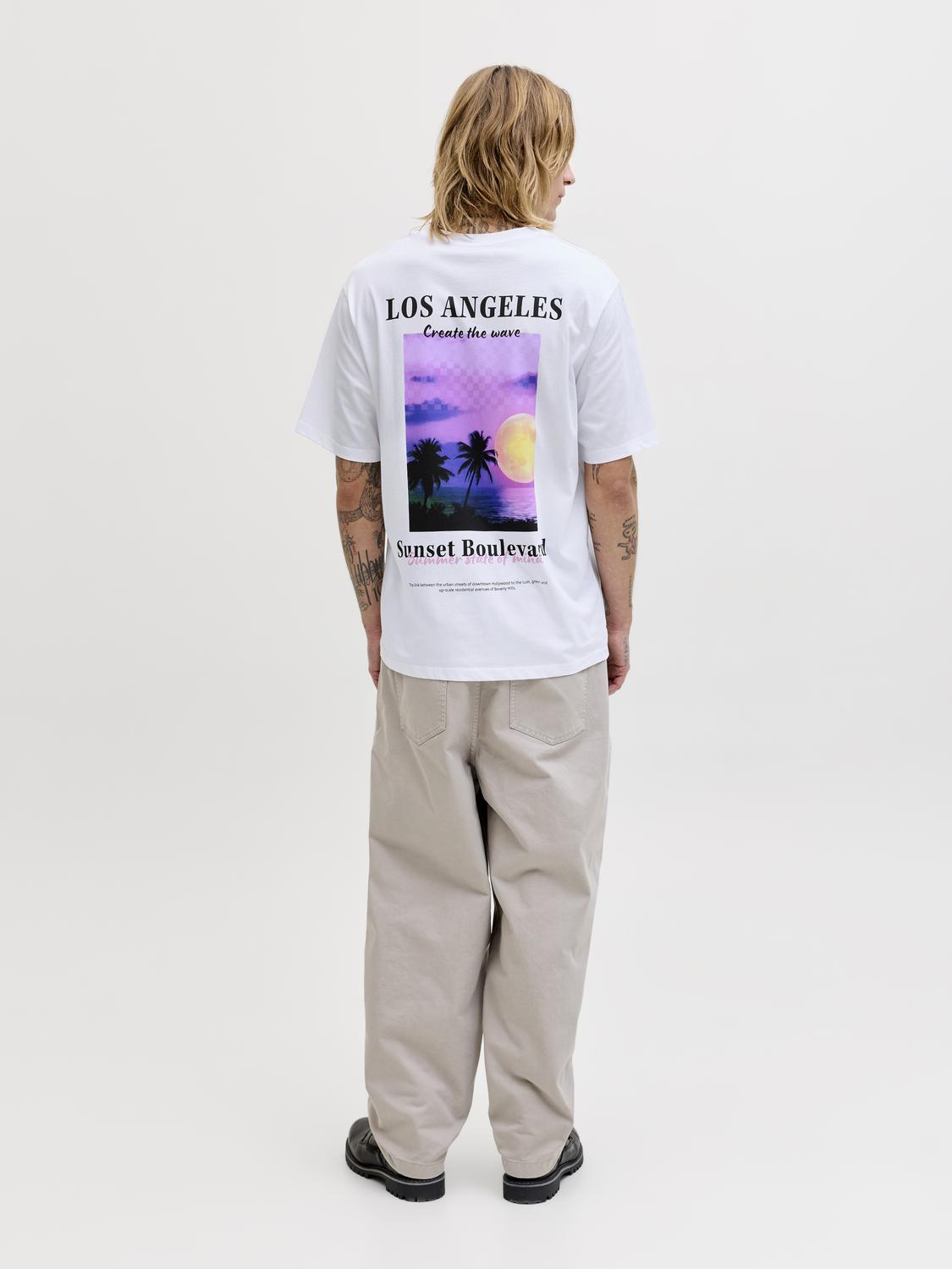 model_shot-back